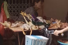 Phớt lờ cúm gia cầm