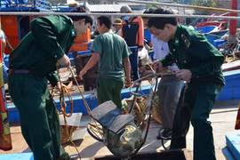 Bị phạt vì vận chuyển trai quý hiếm