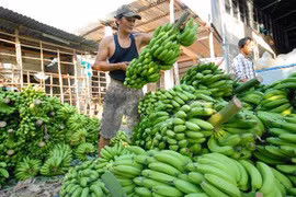 Doanh nghiệp có phần lo lắng