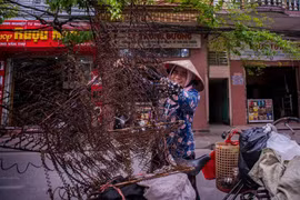 Tọa đàm về nghề đồng nát ở Việt Nam