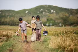 "Tôi thấy hoa vàng trên cỏ xanh" tham dự Tuần phim kỷ niệm 48 năm ngày Giải phóng miền Nam 