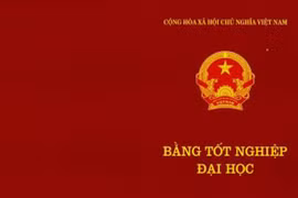 Bằng tốt nghiệp đại học bị mất, có được cấp lại?