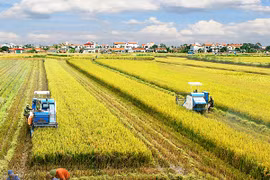 Chấp nhận "xé rào" để có đột phá tư duy trong phát triển 