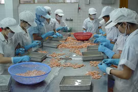 Vẫn thiếu nhân lực