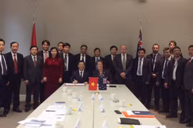 Nghiên cứu mở đường bay thẳng Hà Nội - Wellington 