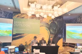 ADB: Tăng trưởng kinh tế Việt Nam chậm lại do cầu bên ngoài suy yếu