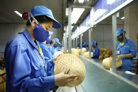 Doanh nghiệp quy mô nhỏ có thể được giảm thuế suất thuế thu nhập doanh nghiệp