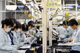 Loại 8 doanh nghiệp khỏi danh sách phái cử thực tập sinh sang Nhật Bản