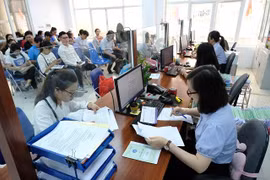 Bảo hiểm xã hội Việt Nam tuyển dụng viên chức theo chính sách thu hút nhân tài
