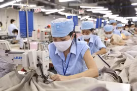 Những ngành nghề có nhu cầu tuyển dụng cao từ năm 2021