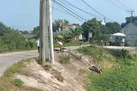 Điều tra nguyên nhân vụ tai nạn giao thông khiến gia đình 3 người tử vong