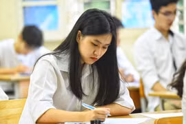 Gợi ý đáp án và nhận định đề thi tham khảo môn tiếng Anh Kỳ thi tốt nghiệp THPT năm 2023