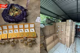 Triệt phá đường dây đa cấp quy mô lớn hoạt động xuyên quốc gia