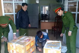 Gỗ quý, rắn biển "đi" máy bay