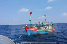 Cứu nạn thành công 4 thuyền viên bị mắc kẹt do hoàn lưu bão số 6