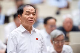 Vì sao ông Lê Thanh Vân bị bắt?