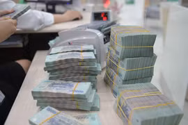 “Nữ quái” kêu gọi đầu tư rồi chiếm đoạt tiền tỷ
