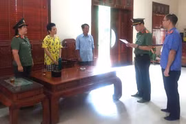 Nữ phiên dịch chiếm đoạt hơn 3 tỷ đồng của doanh nghiệp