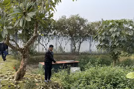 Cảnh sát hình sự Công an Hà Nội 'hốt' ổ nhóm đánh bạc, 'tín dụng đen' thu giữ vũ khí 'nóng'