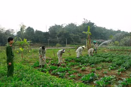 Sắp thay đổi hệ thống cơ quan thi hành tạm giữ, tạm giam và cấm đi khỏi nơi cư trú?