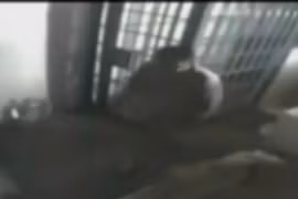 Hot: Video cảnh vượt ngục của "Bố già" Joaquin Guzman