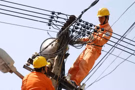 Hà Nội: Thay 20.000 bóng đèn sợi đốt bằng bóng tiết kiệm điện
