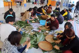 Gói bánh chưng xanh mang Tết đến đồng bào nghèo