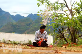 Bài 1: Bản tráng ca vang từ Pha Đin về thành phố hoa ban