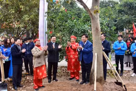 Bí thư Thành ủy Đinh Tiến Dũng phát động Tết trồng cây tại quận Hoàng Mai