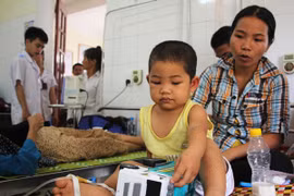 Đề xuất khen thưởng cô giáo che chở học sinh khi ong rừng tấn công