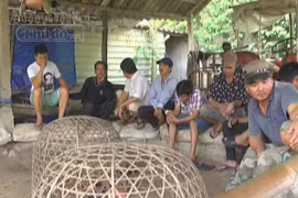 Bắt quả tang 13 đối tượng đánh bạc dưới hình thức đá gà