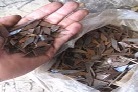 34 tháng từ cho vợ chồng “đinh tặc”