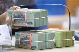 Rủi ro tín dụng gia tăng và nguy cơ “đóng băng” khối nợ xấu