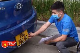 Vẫn còn nhiều xe kinh doanh vận tải chưa đổi biển vàng