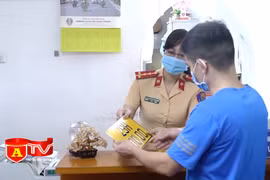 Đẩy nhanh tiến độ cấp biển số xe cho các phương tiện kinh doanh vận tải