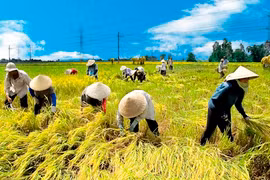 Cần sớm trình Luật Đất đai sửa đổi