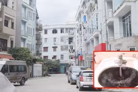 Nước sinh hoạt nhiễm asen cao 43 lần cho phép