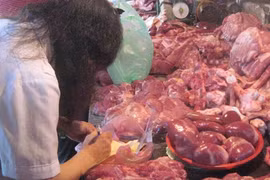 Truy tìm thịt lợn có chất tạo nạc