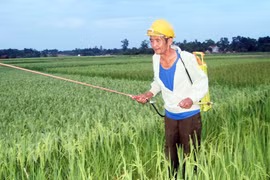Kỳ lạ người đàn ông "nghiện" thuốc trừ sâu