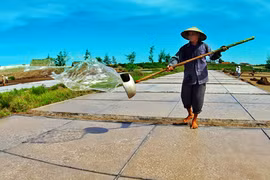 Ngày mới trên biển Thịnh Long