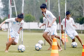 Đòi hái sao trên trời 