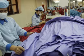 5 năm Việt Nam gia nhập WTO: Bộc lộ những điểm yếu 