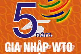Qua 5 năm hội nhập