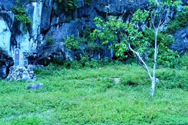 Một “Tam Đảo” ở Đồng Cao 