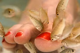 Làm đẹp “không đau”, chưa chắc an toàn 