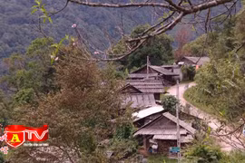 Mùa xuân nơi "cổng trời" xứ Nghệ
