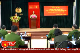 Đấu tranh trấn áp các ổ nhóm tội phạm và tệ nạn xã hội