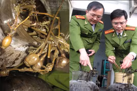 "Đột kích" cơ sở bán rượu chứa chất ma túy
