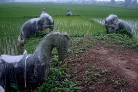 Bí ẩn ngôi mộ cổ khổng lồ giữa cánh đồng