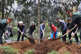 Tổng Bí thư Nguyễn Phú Trọng trồng cây nhớ ơn Bác Hồ tại Khu di tích K9, Ba Vì